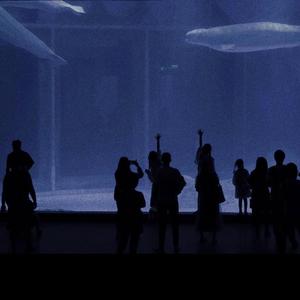 华丽网络平台三级黄色视频
