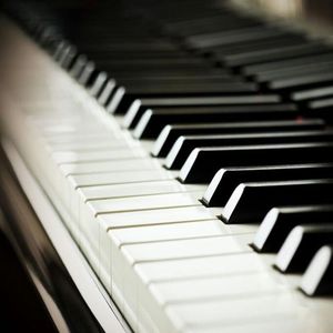 华丽网络平台三级黄色视频
