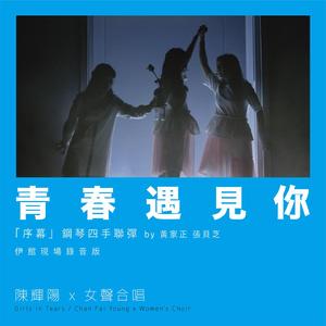 华丽网络平台三级黄色视频
