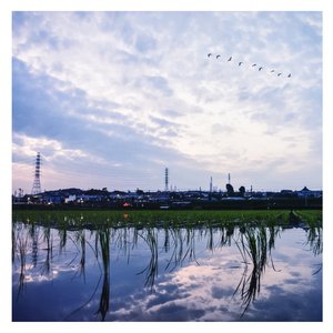 华丽网络平台三级黄色视频
